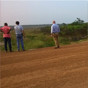 Rosex Gallery — field site